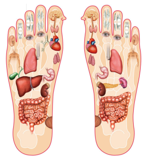 bấm huyệt bàn chân